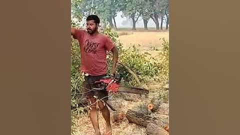 Dangerous leaning tree cutting... STIHL ms 881 #viralvideo #youtubeshorts #shortvideo #trending