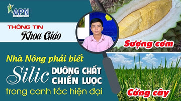 APN - SILIC DƯỠNG CHẤT CHIẾN LƯỢC TRONG CANH TÁC HIỆN ĐẠI