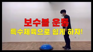 특수체육 보수볼 운동, 발달장애아동도 쉽게 따라할 수 있는 대근육 운동방법!