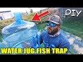 DIY Water Jug Fish Trap Catches RARE FISH!