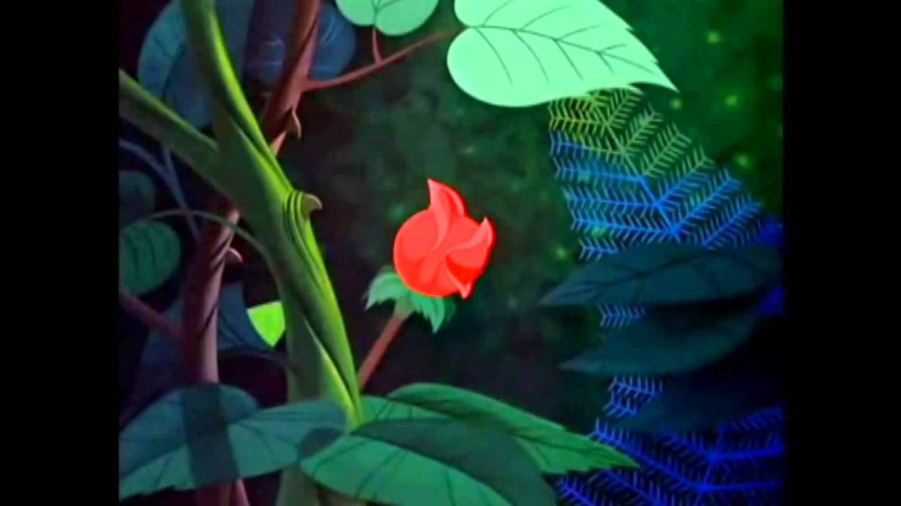 i-think-she-s-pretty-youtube