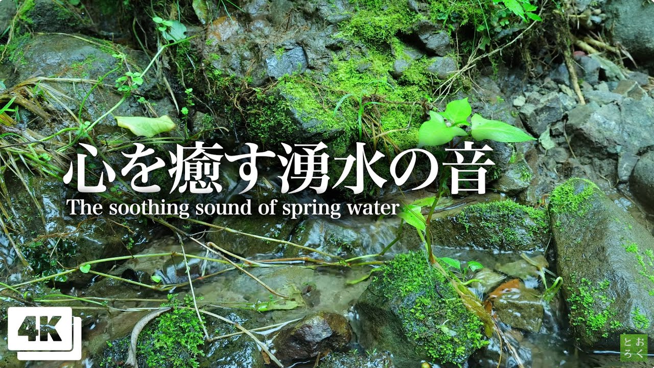 山奥の森から湧き出す湧水の音で眠る癒しのナチュラルサウンド