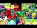 ガラルの草よ!出陣だ!【ゆっくり実況】魔理沙が作る!!草最強伝説with霊夢【ポケモン盾】#1