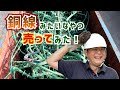 銅売ってみた！治具（ジグ）というメッキ製造に使われる銅を売る！工場見学もあり