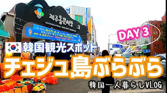 済州島 Youtube