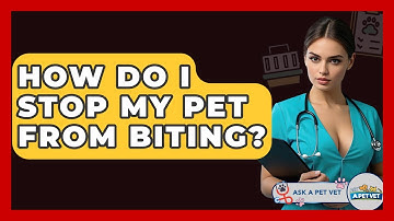 How Do I Stop My Pet From Biting? - Ask A Pet Vet