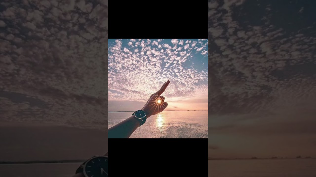 Pictures of things part 7