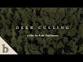 Deer culling  short wildlife documentary