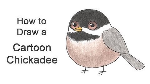 How to Draw a Chickadee Bird (Cartoon)