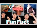 All facts of luke davidson tiktok compilation 2022  luke davidson facts.sdaily