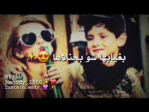 يا طير دخلك قلا مع الكلمات