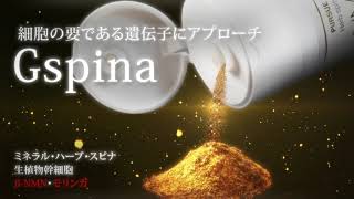セール中★新品未使用　エルモサ パシュー エンリッチ モイストクリーム 180g クリアフォーム | 全薬工業のエイジングケアブランド「GELEE