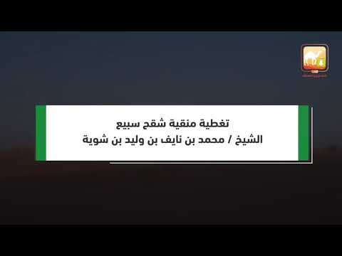 منقية الشيخ محمد بن نايف بن شويه تفطية لايف مزاين المملكه