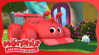 The Magic Frog  Morphle and the Magic Pets | Available on Disney+ and Disney Jr #morphle