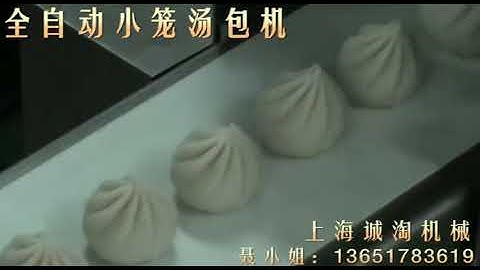 Xiao long bao juicy steamed bun making machine ----Chengtao Machinery