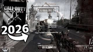 bo2 in 2026 | vector k10 (compilation)