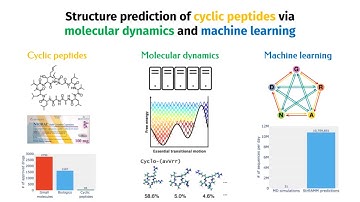 Structure prediction of cyclic peptides via molecular dynamics and machine learning