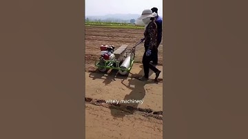 seed planter #shorts #seeds #planter