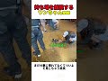 持ち場を離脱するワンちゃんwww