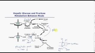 HFI Overview