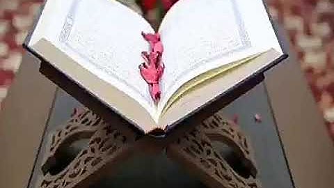 سورة الأنعام تلاوة هادئة بصوت رائع #الأنعام