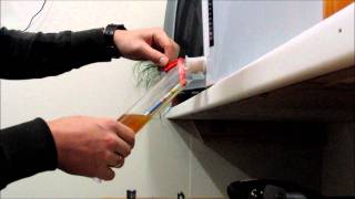 Homebrew Wednesday 11-01-2012