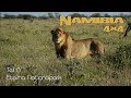 Namibia in 4K - Teil 8 - Etosha Nationalpark