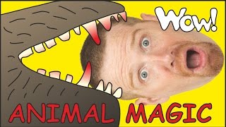 Animal Magic With Maggie And Steve English Stories For Kids Wow English Tv