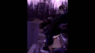 Alaskan trash eagle