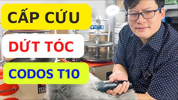 Tông Đơ Cắt Tóc Codos T10 Bị Dứt Tóc Và Mài Chuốt Khắc Phục | Quang 3S