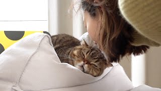 Sneak Kiss Attack on a Sleepy LuLu😘 Naughty Cats, Guacamole, and ChuChu Haircut Vlog (ENG SUB)