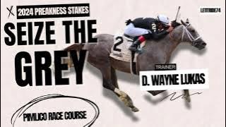 Seize the Grey 2024 Preakness Stakes Contender Preview