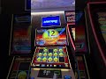 HIGHLIMIT ROOM 25c 12.50 bets. on an oldie but goodie #sahara #lightninglink