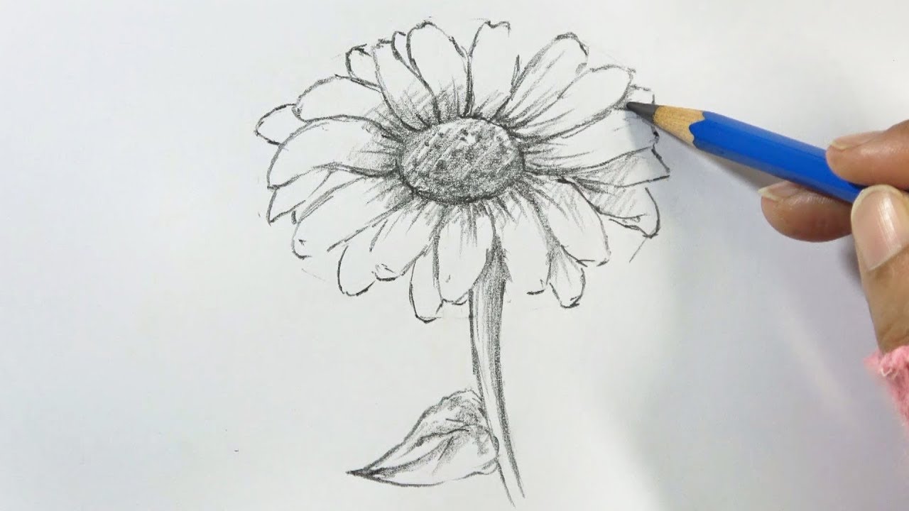 Drawing of a sunflower | Các môn nghệ thuật, Hình vẽ hoa hướng dương, Mỹ  thuật