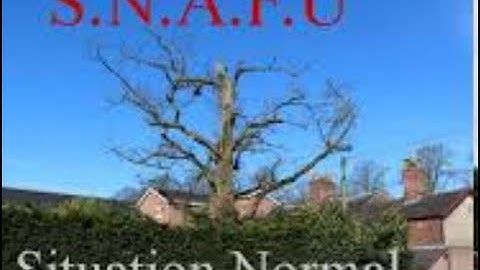 Two MAJOR Real Estate Snafus for Lowball Properties ... See Description  BRIEF