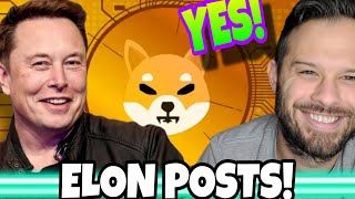 Shiba Inu Coin | SHIB Rises After Elon Musk Posts About Shiba Inu Dog!