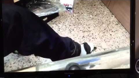 Doop Skates review fail