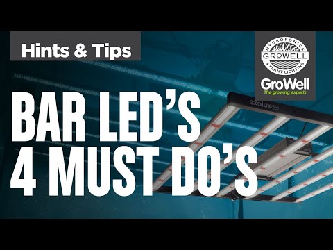 4 Must Do's for Bar LED Grow Lights | Hints & Tips