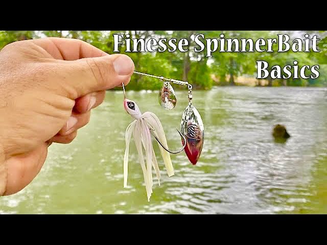 You didn't Know this about Spinnerbaits! Or do U? 