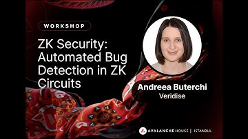 ZK Security: Automated Bug Detection in ZK Circuits I Avalanche House Istanbul