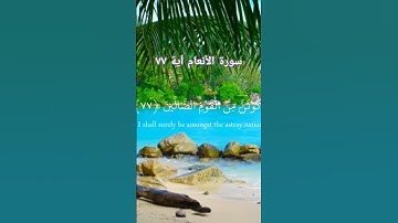 سورة الأنعام أية ٧٧ quran# #relaxing