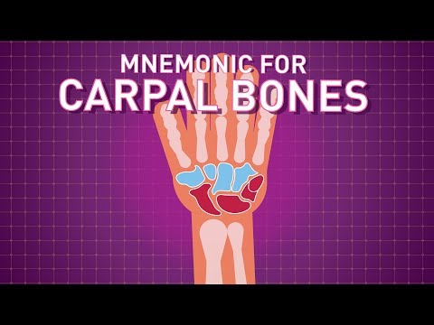 Video: Adakah scaphoid tulang karpal?