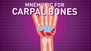 Carpal Bones Mnemonic