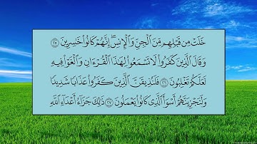 سورة فصلت (الآية 19 ~ الآية 29) - عبدالله بن عواد الجهني