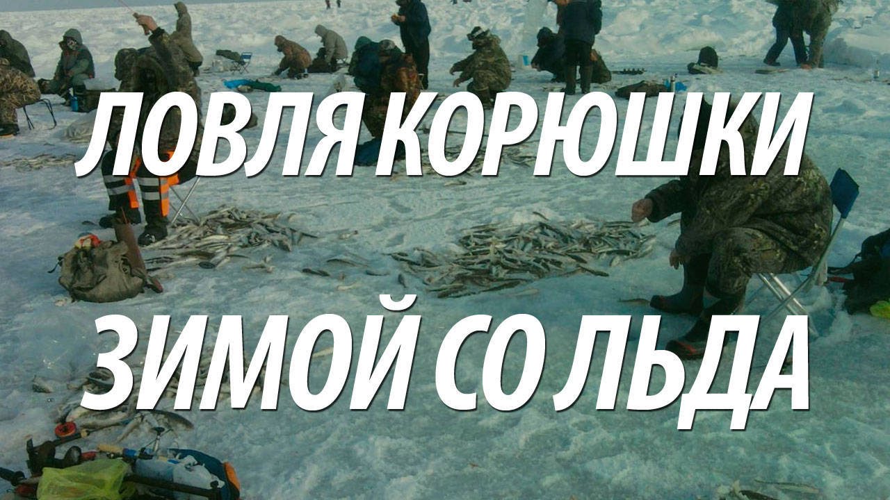 зимняя рыбалка в нижегородской области