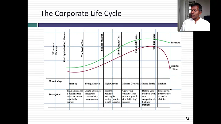 A Viral Market Update X: A Corporate Life Cycle Perspective