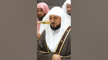 تلاوة فضيلة الشيخ د. ماهر المعيقلي من صلاةالعشاء 11 ربيع الآخر 1446هـ.