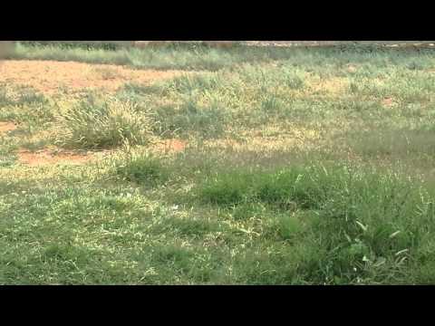 ٢١ مارس ٢٠١٦