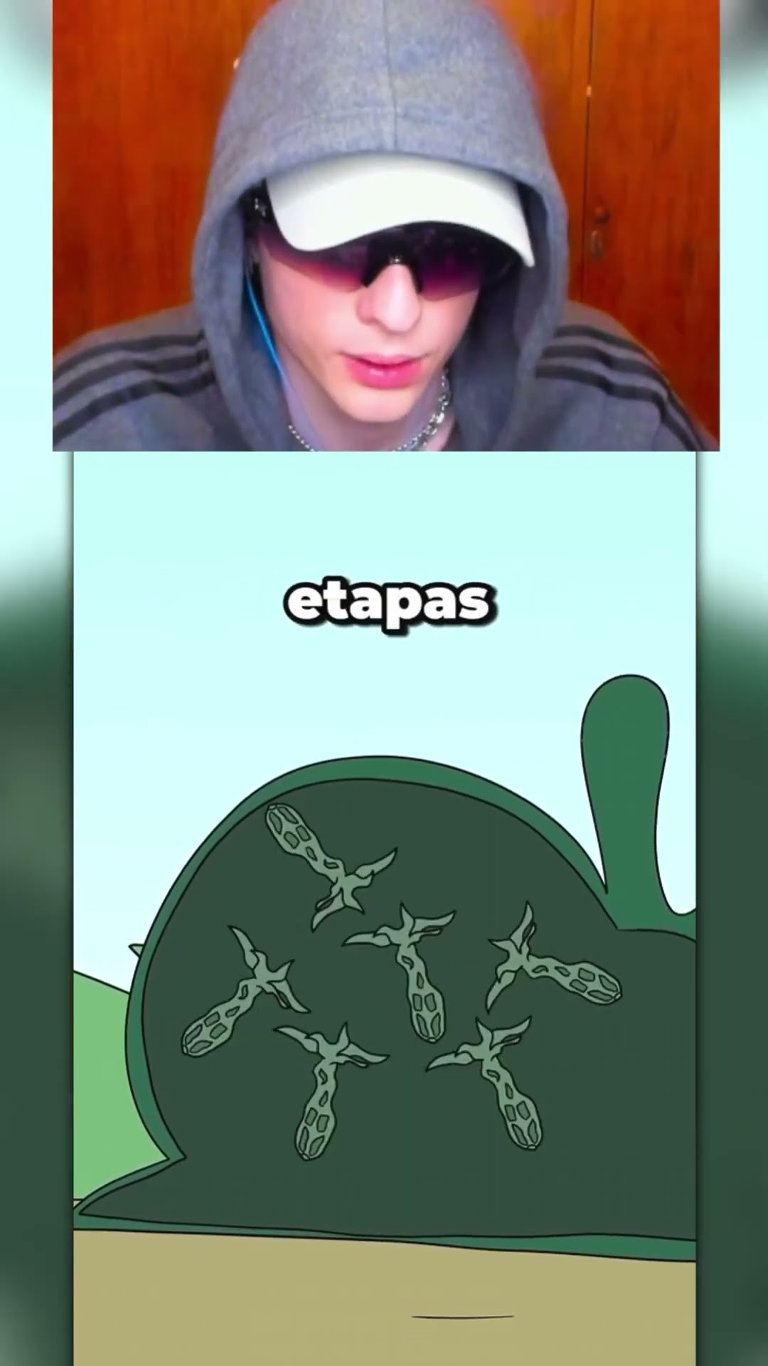 Sabías ESTO⁉️?