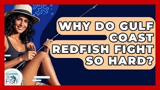 Why Do Gulf Coast Redfish Fight So Hard? - Chasing Big Fish